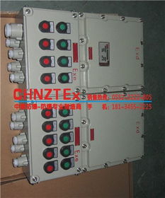 Bxq系列防爆電磁起動(dòng)配電箱與工業(yè)插頭的應(yīng)用與優(yōu)勢(shì)